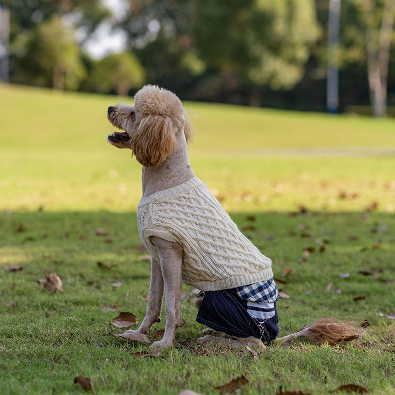 Warmer Hundepullover mit modischen Nähten, geeignet für kleine und mittelgroße Hunde