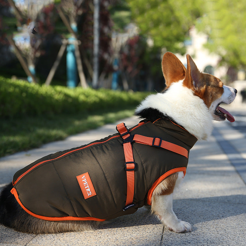 Veste d'hiver chaude et imperméable pour chien poitrine et dos universelle Teddy Corgi 