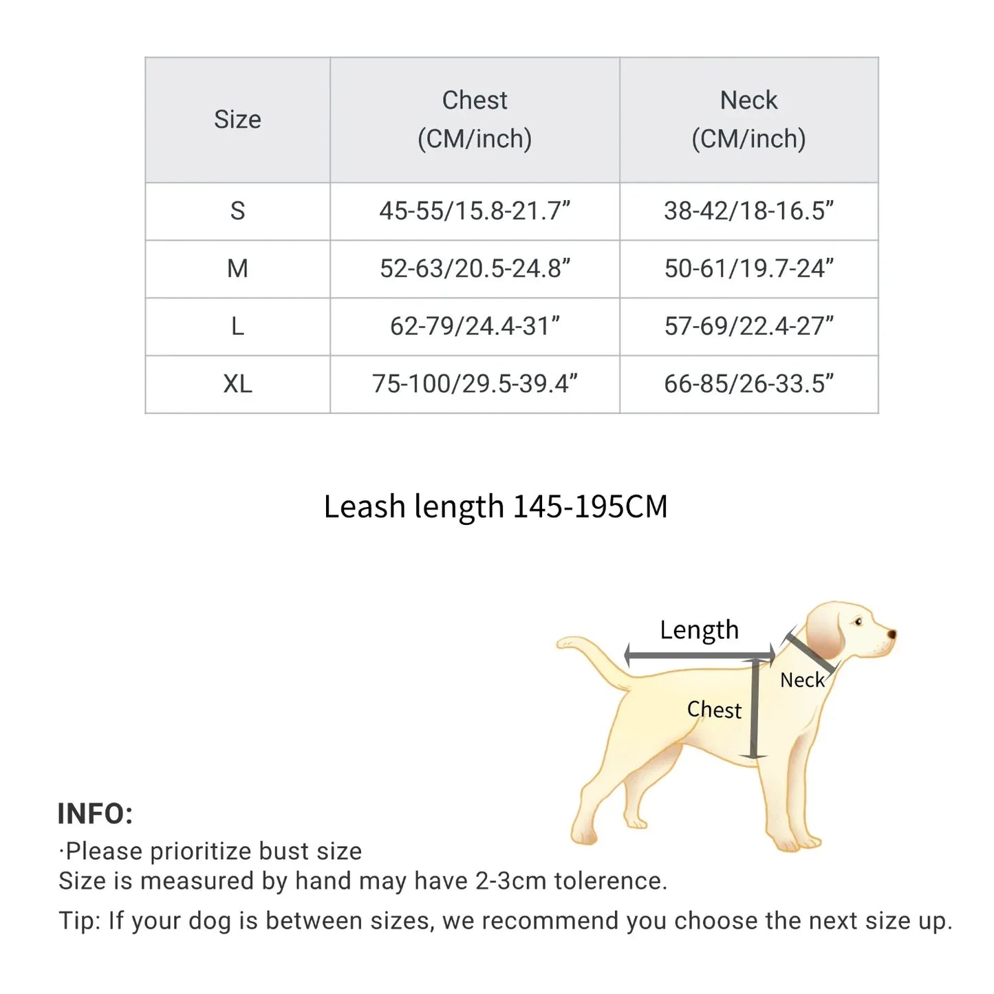 Cool Luminous Dog Harness with Handle - 6+ Hours of Battery Life, Waterproof Oxford Cloth, Fashionable Way to Walk Your Dog