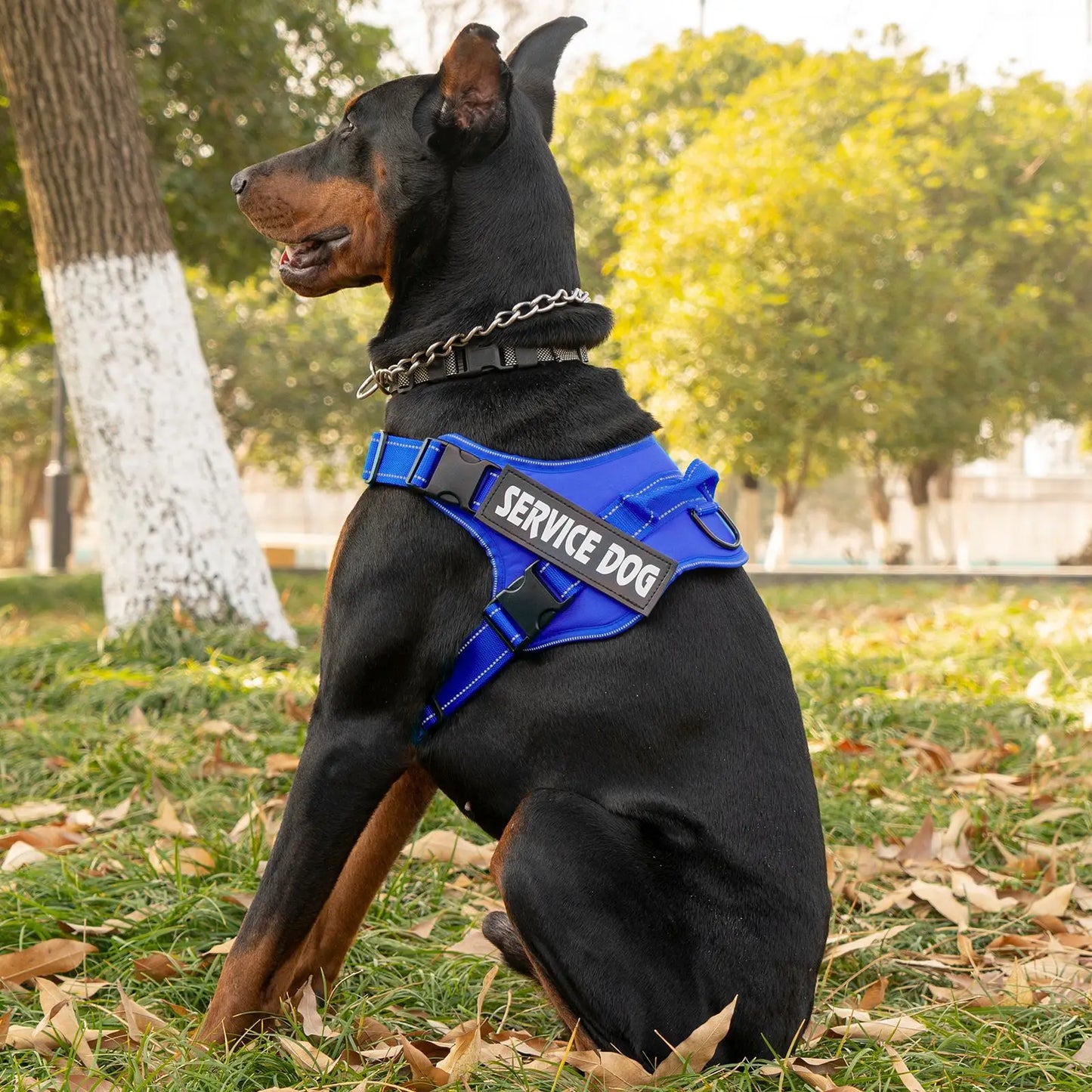 Large dog harness with handle Explosion-proof dog harness Easy to put on and take off Fashionable colors dog accessories