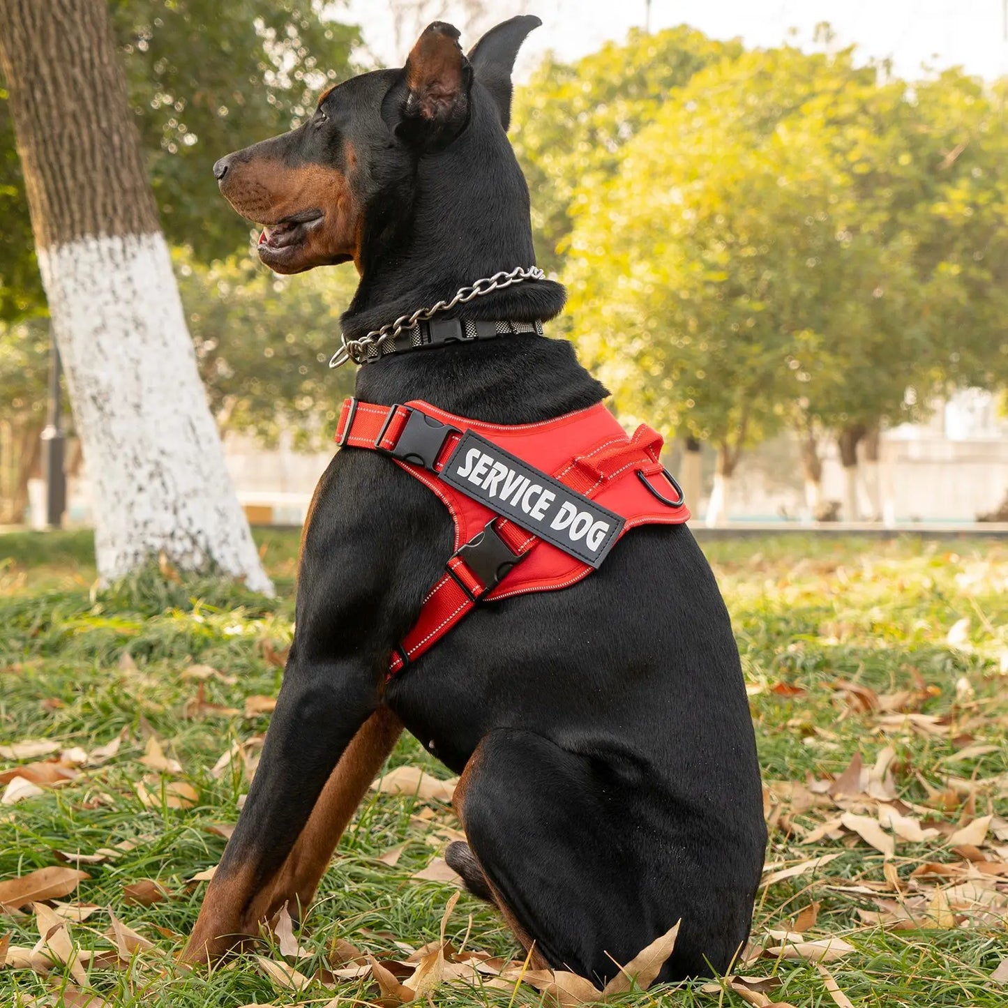 Large dog harness with handle Explosion-proof dog harness Easy to put on and take off Fashionable colors dog accessories