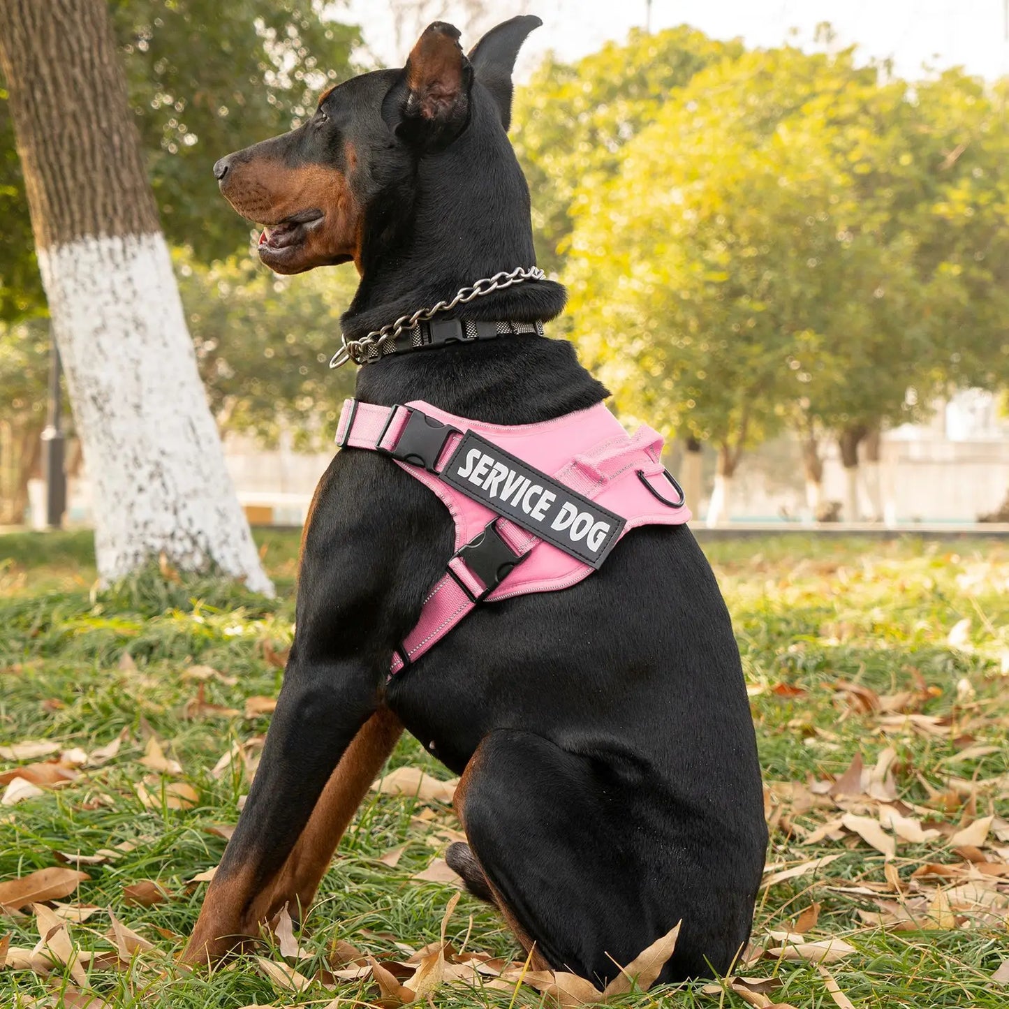 Large dog harness with handle Explosion-proof dog harness Easy to put on and take off Fashionable colors dog accessories