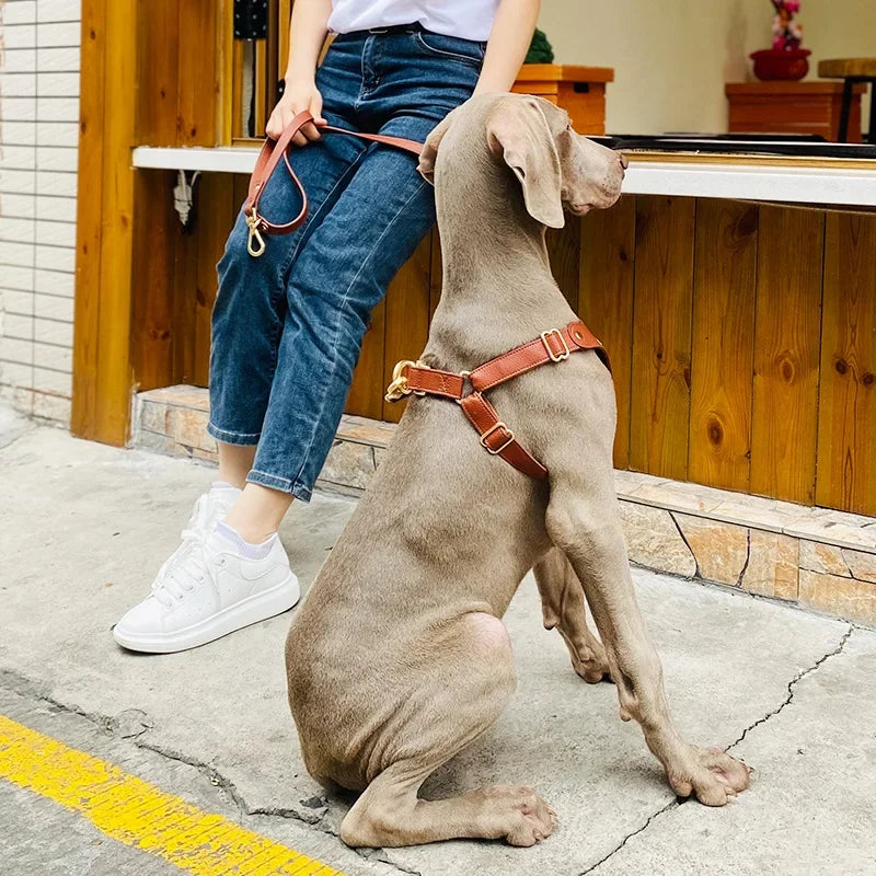 Leather dog harness with leash waterproof soft comfortable Dog walking collars  for small and medium-sized dogs