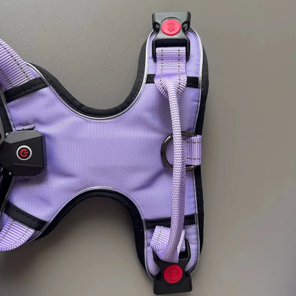 Cool Luminous Dog Harness with Handle - 6+ Hours of Battery Life, Waterproof Oxford Cloth, Fashionable Way to Walk Your Dog