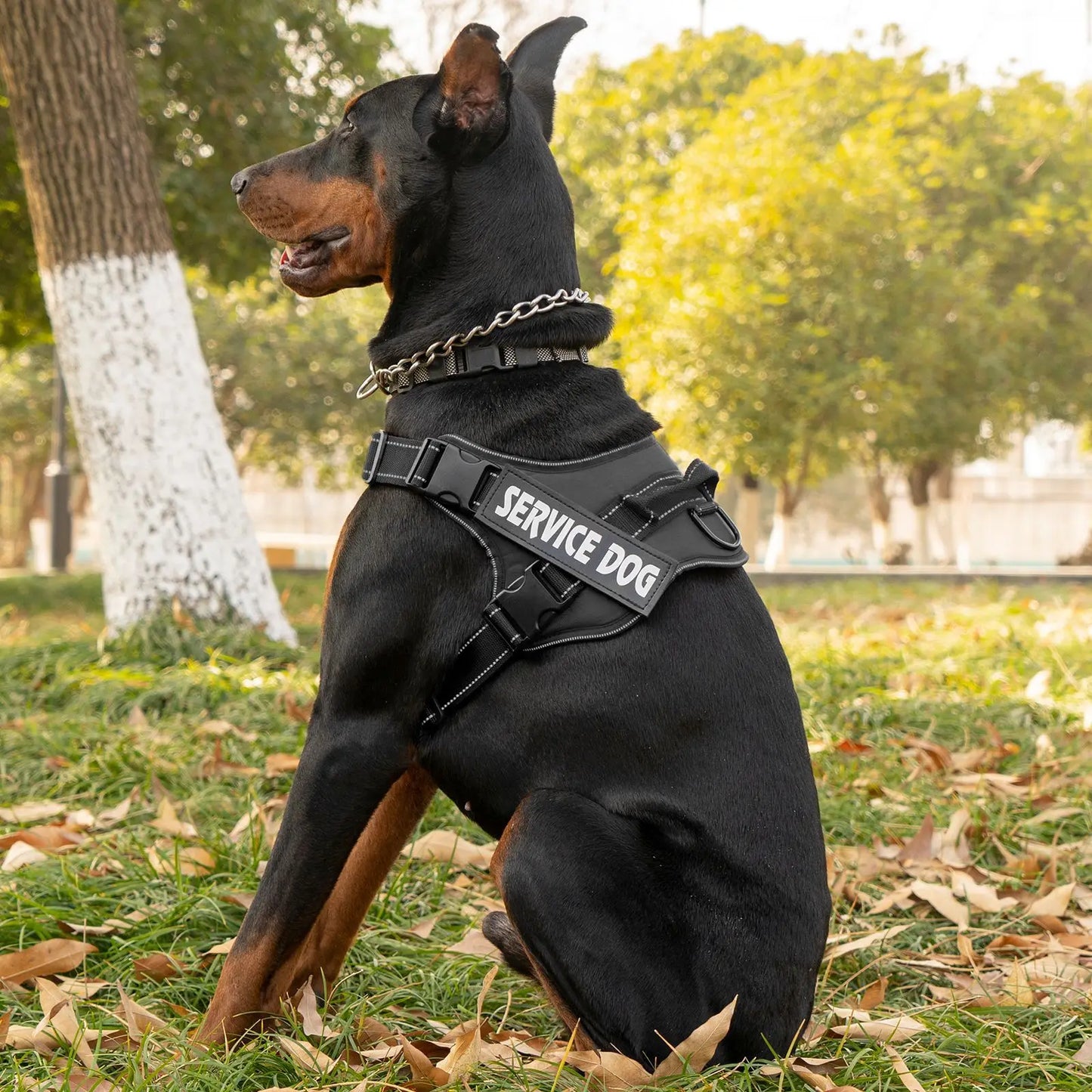 Large dog harness with handle Explosion-proof dog harness Easy to put on and take off Fashionable colors dog accessories