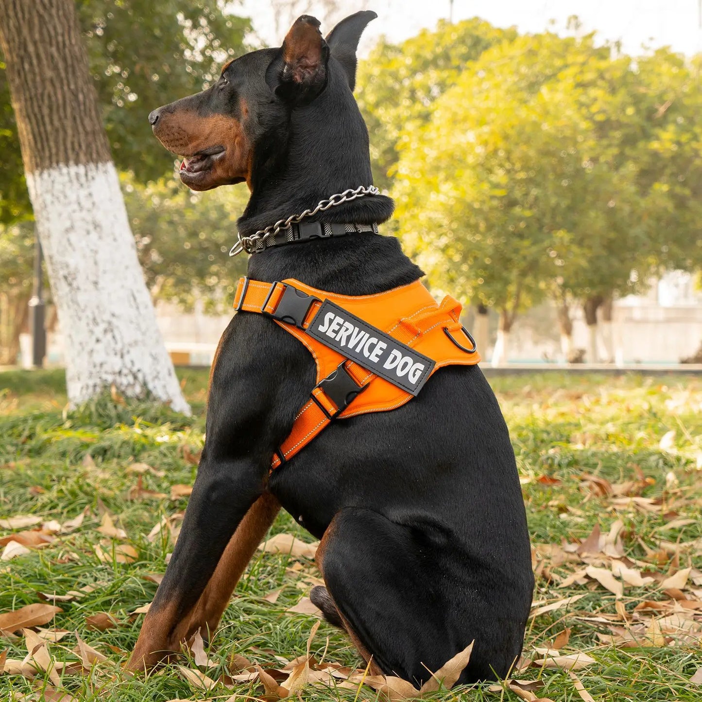 Large dog harness with handle Explosion-proof dog harness Easy to put on and take off Fashionable colors dog accessories