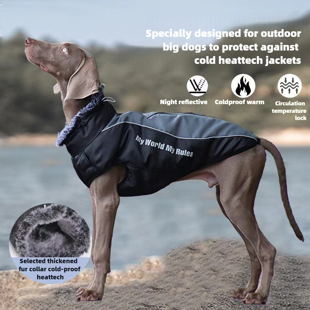 Big Dog Jacket Warm and Waterproof