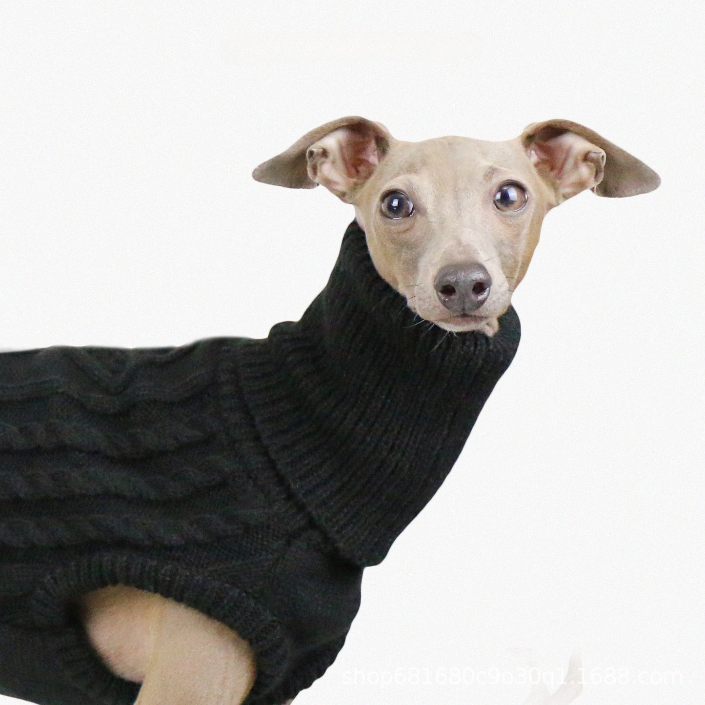 Turtleneck dog sweater soft and warm