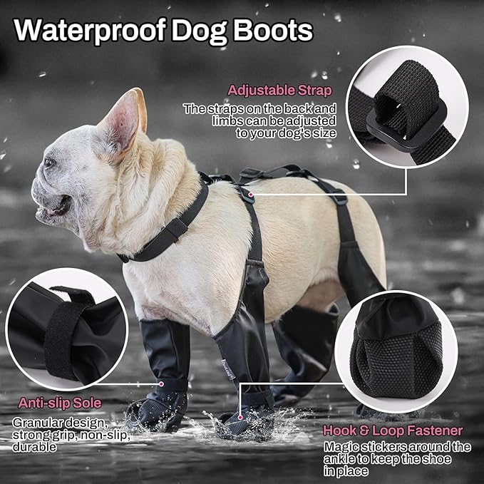 Outdoor dog walking shoes waterproof