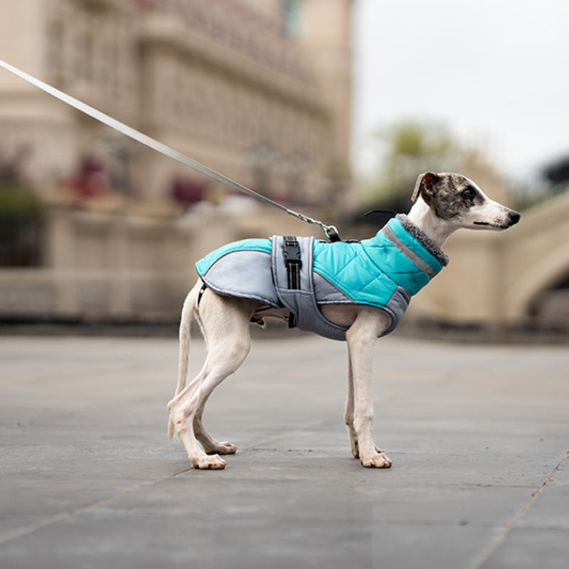 Dog winter coat warm and windproof high collar can be turned down for small and medium-sized