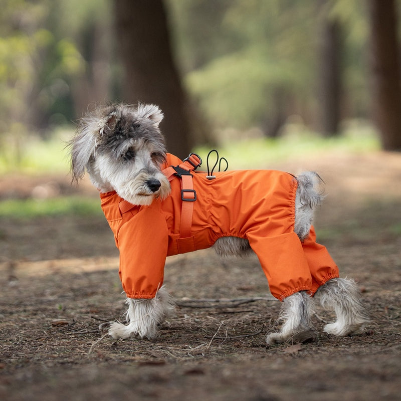 Vierbeiniger Vollschutz-Hunderegenmantel mit Brust- und Rückenschutz, passend für alle Hundegrößen 