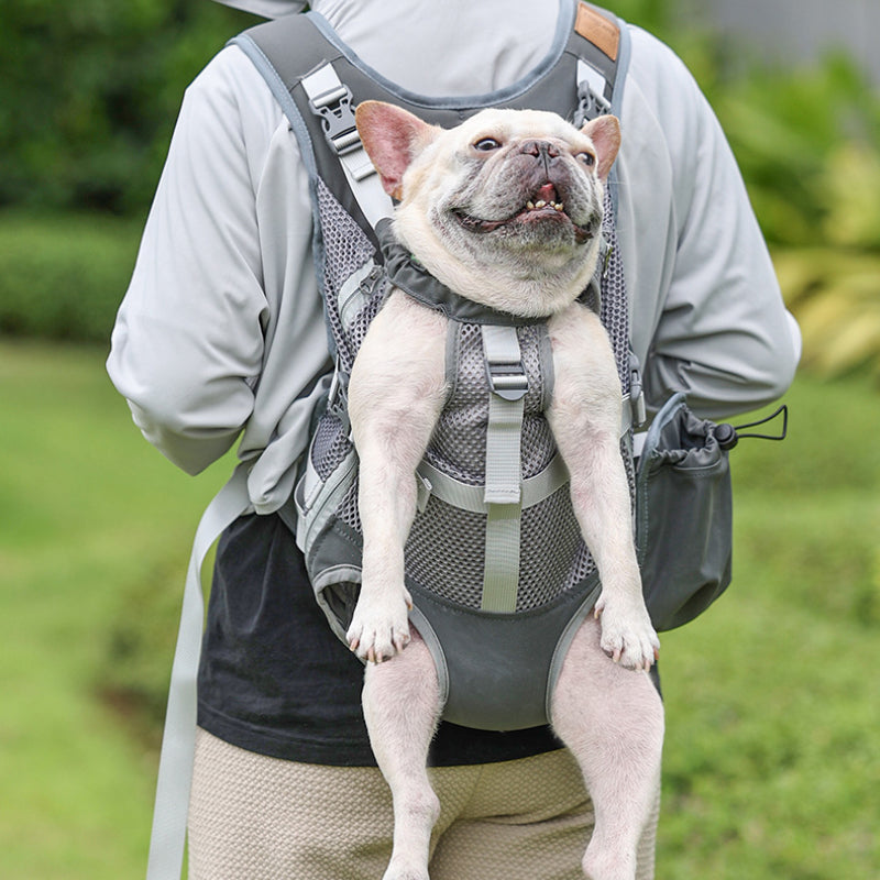 Sac à dos réglable pour chien - Convient aux chiens de petite et moyenne taille