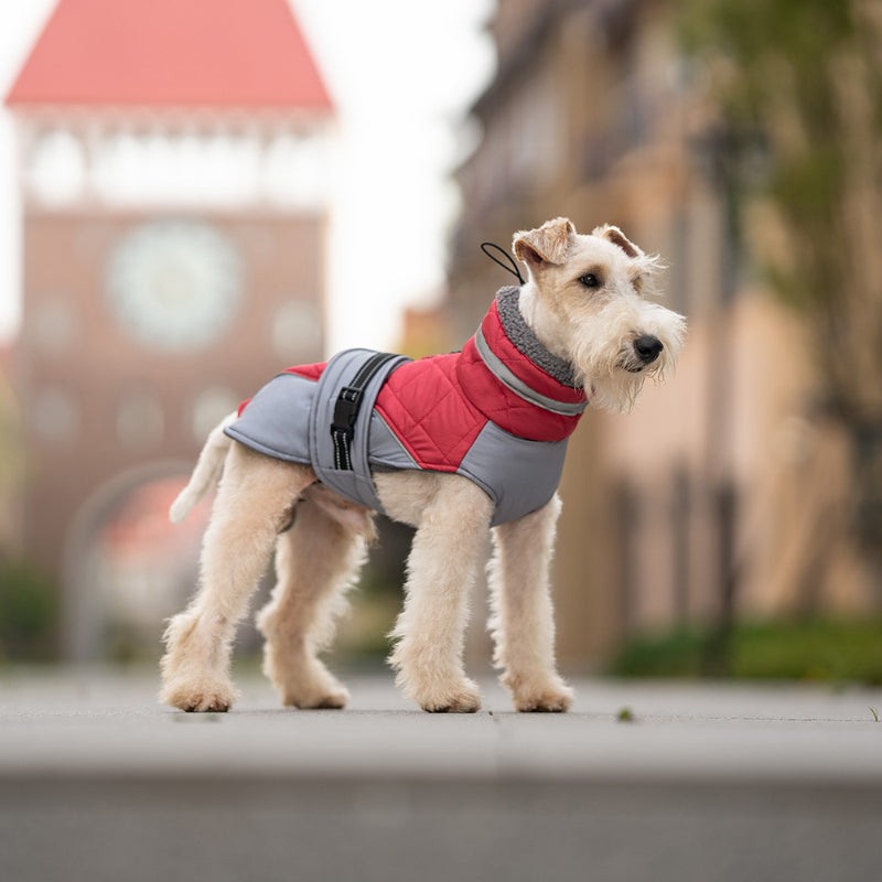 Dog winter coat warm and windproof high collar can be turned down for small and medium-sized