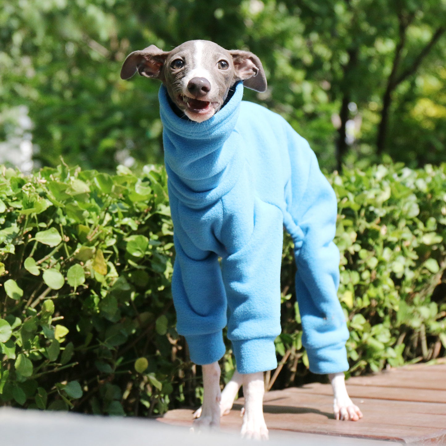 Thickened warm polar fleece pet four-legged coat