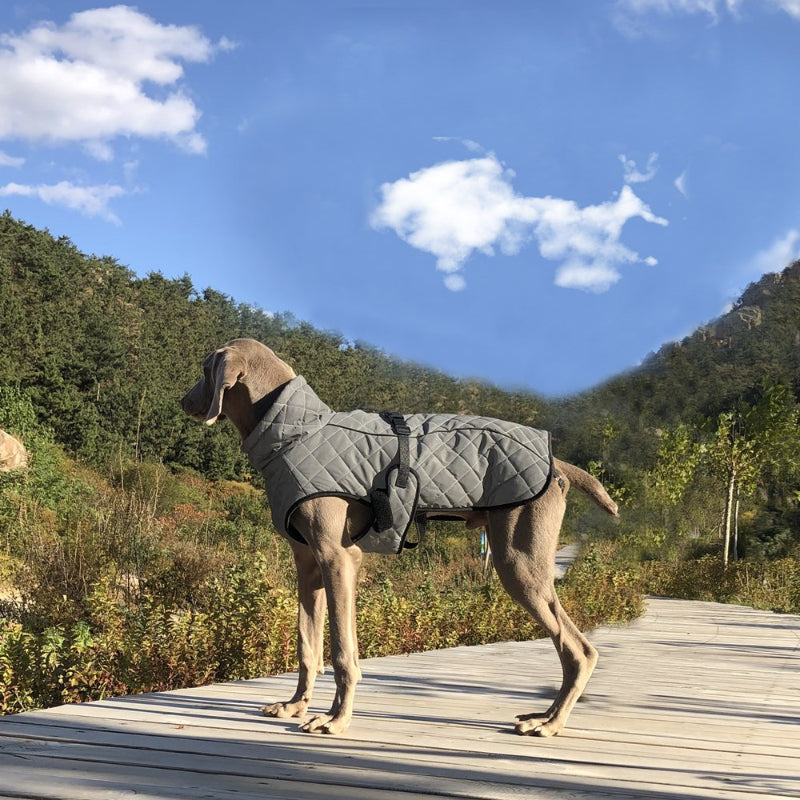 Veste d'hiver d'extérieur pour gros chien, corps entier réfléchissant, imperméable et chaude